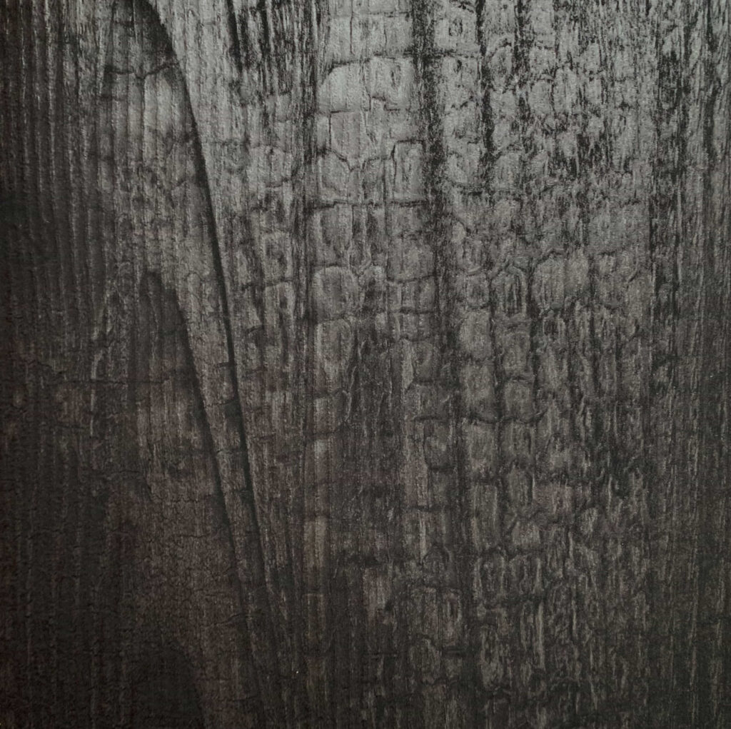 ENGINEER WOOD VENEER II 5