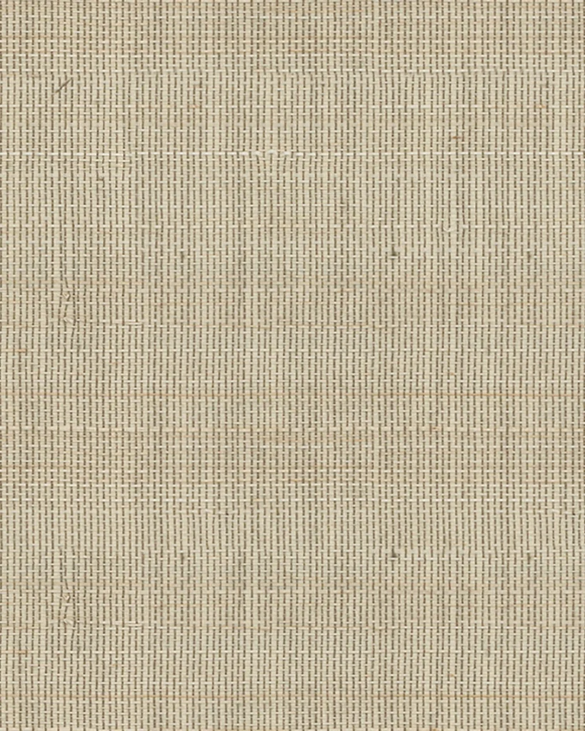 Abaca Forest Leaves 016
