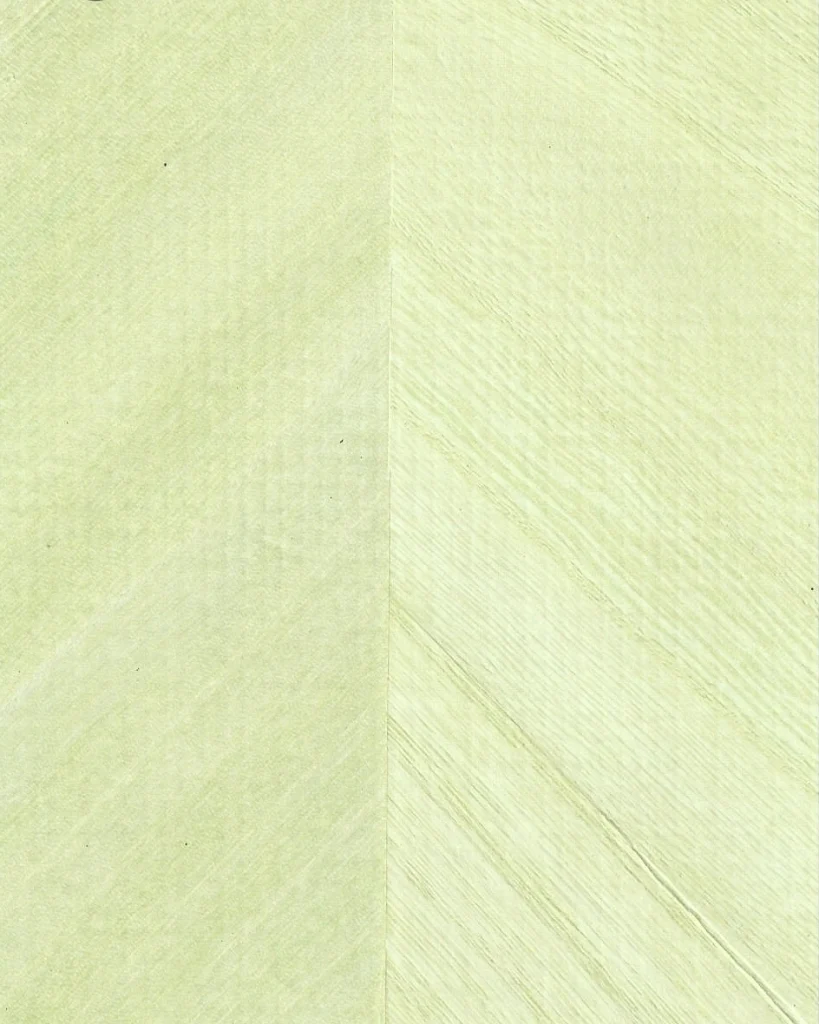 WOOD VENEER & MARQUETERIE H02