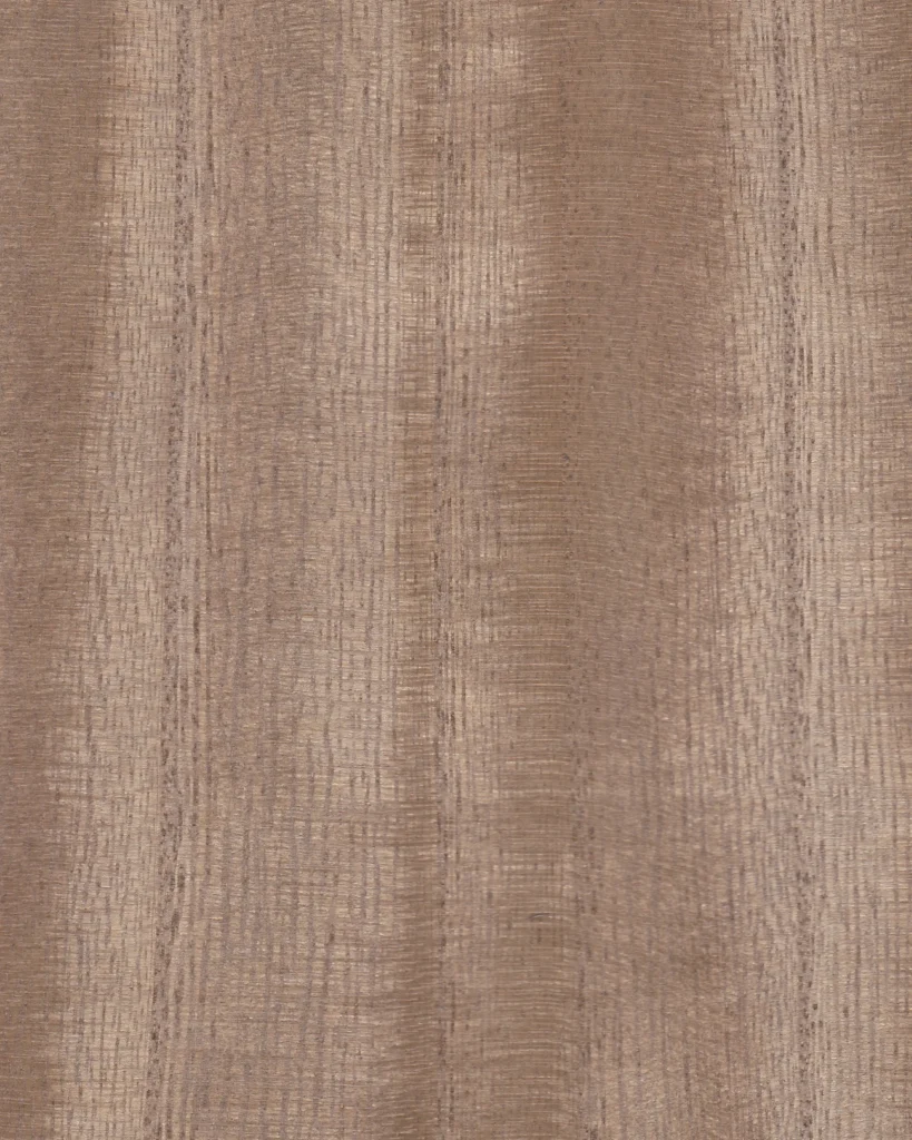 Paulonia BROWN SUGAR  06