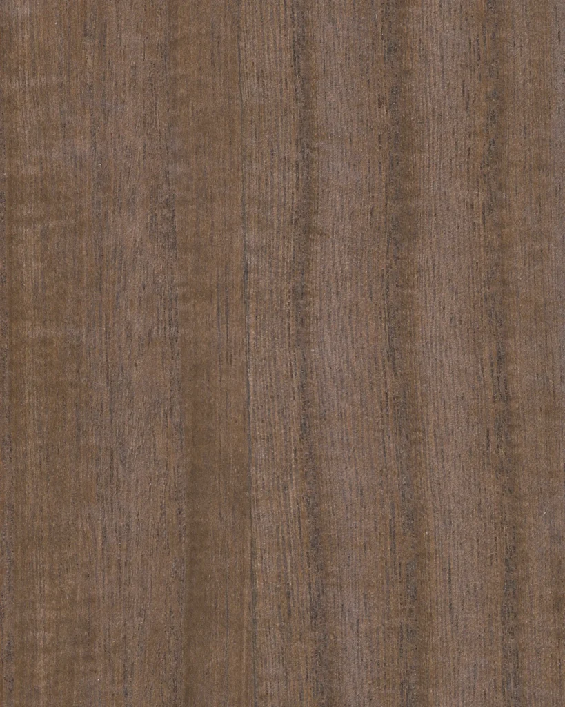 Paulonia EMPERADOR  07